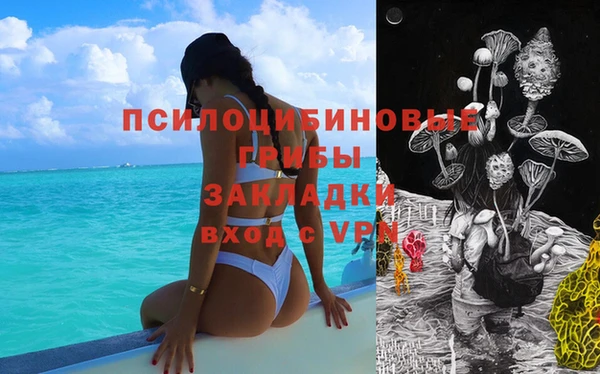 винт Алзамай