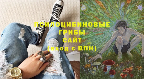 винт Алзамай