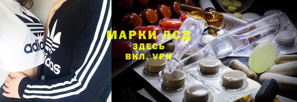винт Алзамай
